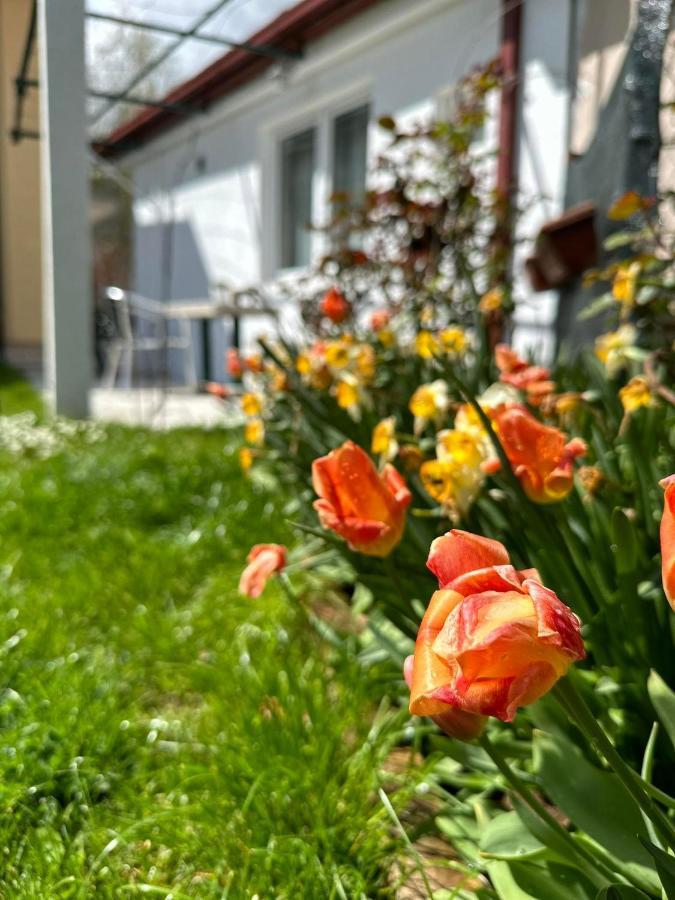 Apartmani Emily & Jully Nikšić 外观 照片